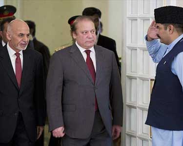 201411171506370426_Pakistan-Rejects-Bull