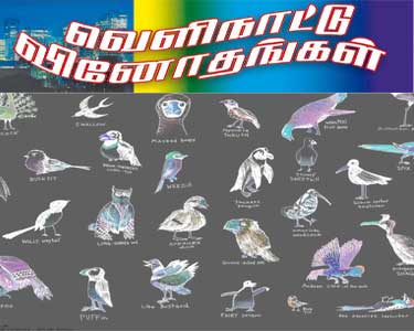 201501051046407648_Foreign-curious-Ularu