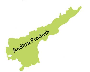 201505150847530385_Indian-Americans-adop