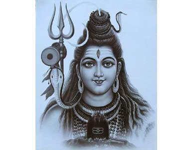 சிவன் கோவில்களில் பிரதோஷ வழிபாடு திரளான பக்தர்கள் சாமி தரிசனம்