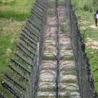 Pak returns Indian woman after inadvertent border crossing