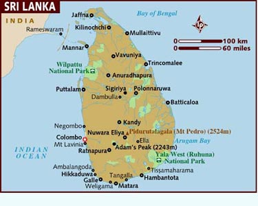 201511190104158304_Cellar-rooms-In-Sri-L