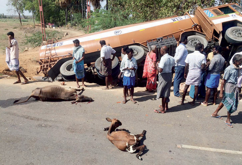 தென்திருப்பேரையில் தண்ணீர் லாரி மோதி 10 மாடுகள் பரிதாப சாவு பொதுமக்கள் சாலைமறியல் தென்திருப்பேரையில் தண்ணீர் லாரி மோதி 10 மாடுகள் பரிதாப சாவு பொதுமக்கள் சாலைமறியல்