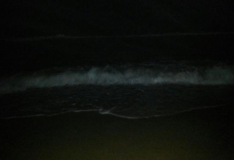 besant nagar beach in night