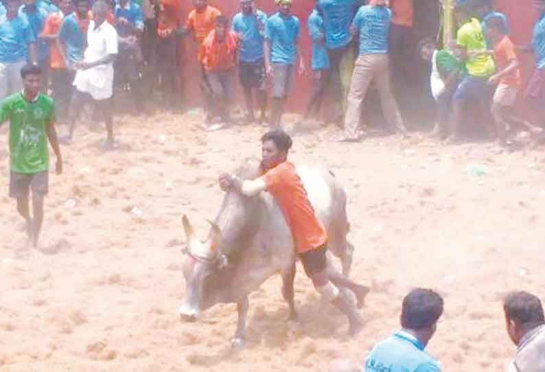 சன்னாவூர் கிராமத்தில் ஜல்லிக்கட்டு; காளைகள் முட்டியதில் 12 பேர் காயம்