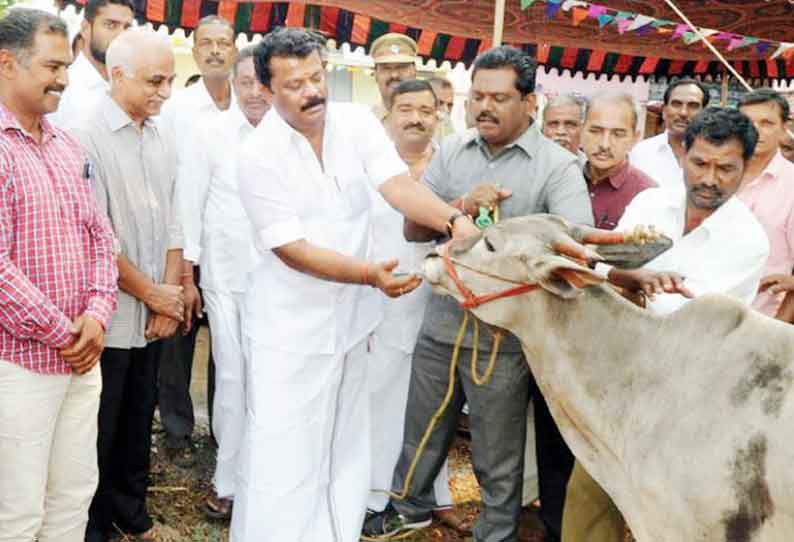 மலை கிராமங்களில் கால்நடை கிளை மருந்தகங்கள் அமைச்சர் பாலகிருஷ்ணரெட்டி திறந்து வைத்தார்