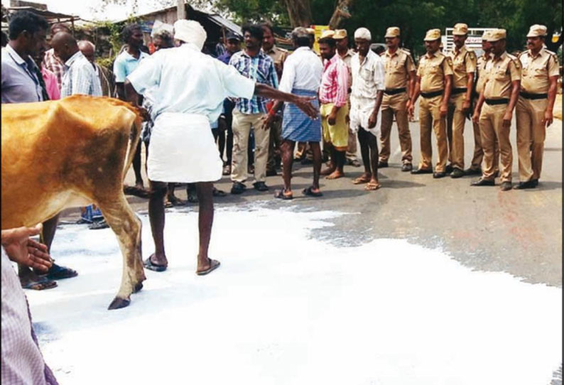 அம்மாபேட்டை அருகே பரபரப்பு - பாலை ரோட்டில் கொட்டி மாடுகளுடன் பால் உற்பத்தியாளர்கள் சாலை மறியல்