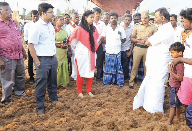 தேவராயபுரத்தில் ஜல்லிக்கட்டு முன்னேற்பாடு பணிகளை கலெக்டர் நேரில் ஆய்வு