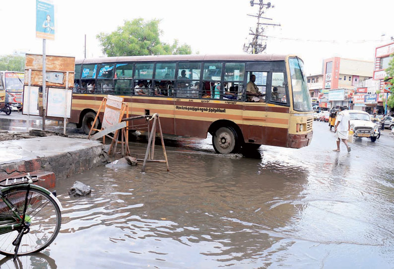 நெல்லை மாவட்டம் முழுவதும் பரவலாக பெய்த கோடை மழை