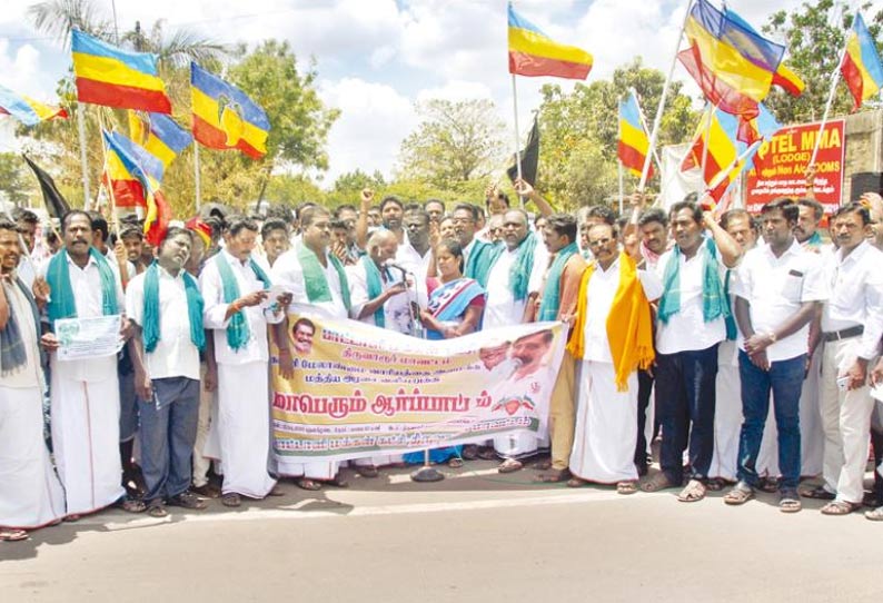 காவிரி மேலாண்மை வாரியம் அமைக்க வலியுறுத்தி பா.ம.க.வினர் ஆர்ப்பாட்டம்