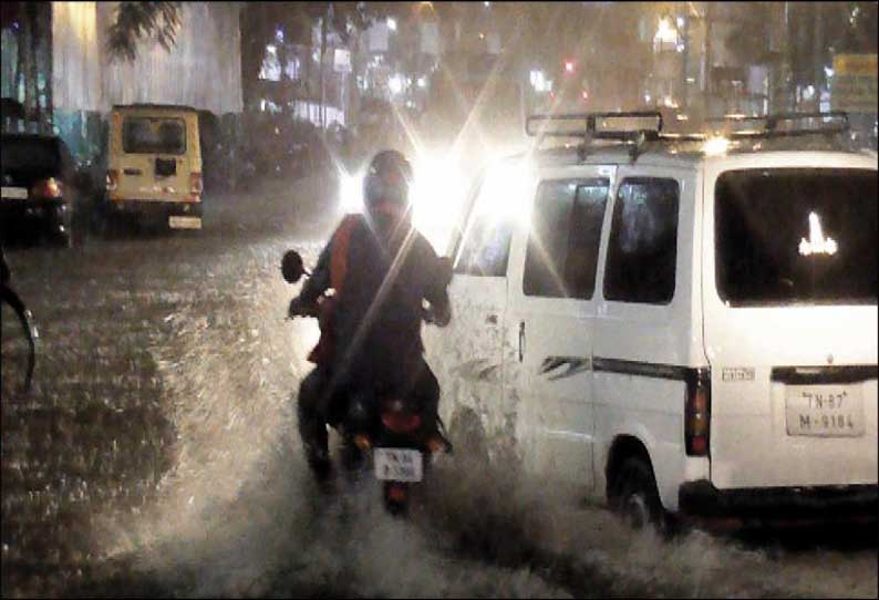 ராஜபாளையத்தில் சூறைக்காற்றுடன் மழை; மின்கம்பங்கள் சாய்ந்தன