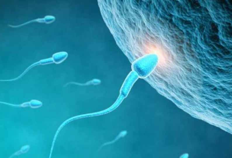 Space Sex Nasa Sends Human Sperm To Iss To See If Man Can Conceive In Orbit புவி ஈர்ப்பு விசை 