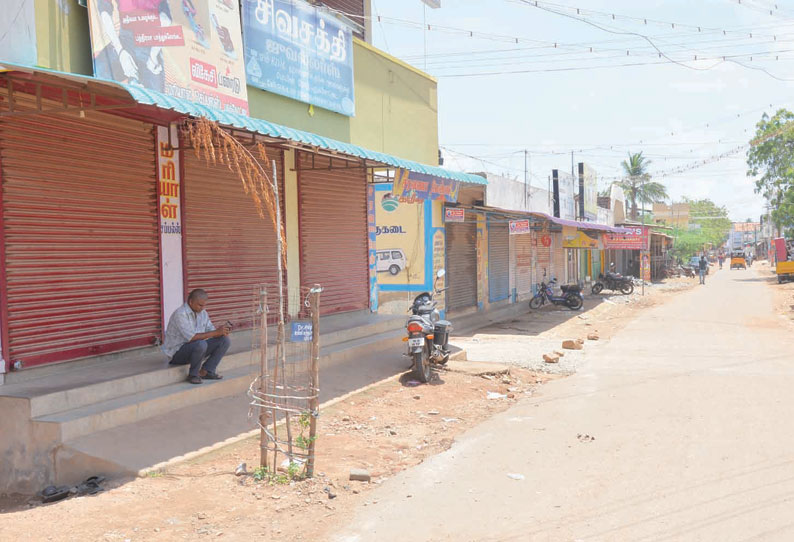 ஸ்டெர்லைட் ஆலையை மூடக்கோரி புதுக்கோட்டையில் கடைகள் அடைப்பு கன்டெய்னர் லாரி உரிமையாளர்கள் வேலைநிறுத்தம்