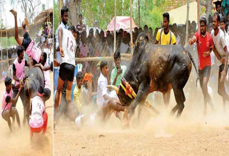 தேவகோட்டை அருகே கோவில் திருவிழாவையொட்டி வடமாடு மஞ்சுவிரட்டு