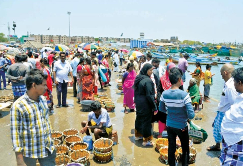 61 நாள் தடைகாலம் எதிரொலி: மீன்கள் விலை இருமடங்கு உயர்வு