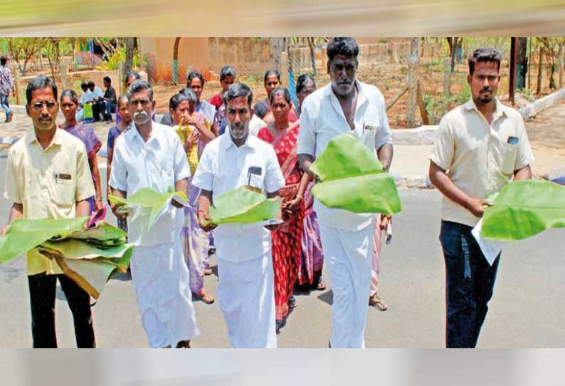 பிளாஸ்டிக் பொருட்களுக்கு தடை விதிக்கக்கோரி வாழை இலையுடன் சென்று கலெக்டரிடம் மனு