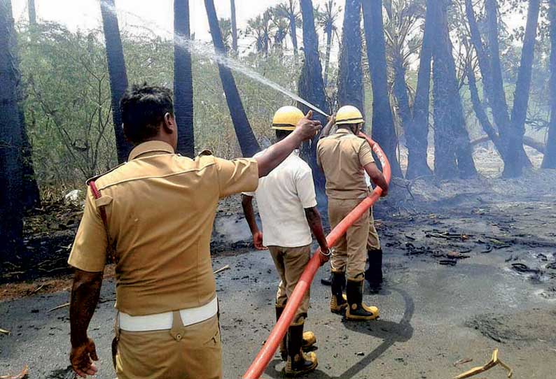 பனைக்குளம் புதுக்குடியிருப்பு பகுதியில் திடீர் தீவிபத்தில் 150 பனை மரங்கள் எரிந்து நாசம்