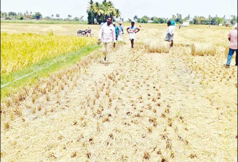 புறவழிச்சாலை அமைக்க நிலத்தை அளவீடு செய்து அடையாள கற்கள் பதிக்கும் பணி தீவிரம்