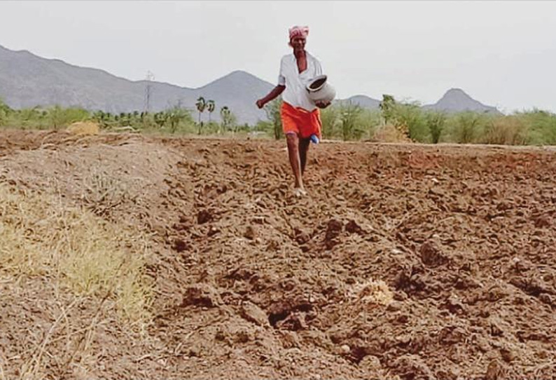 உசிலம்பட்டி பகுதியில் விதைகளை விதைத்து விட்டு மழைக்காக காத்திருக்கும் விவசாயிகள்