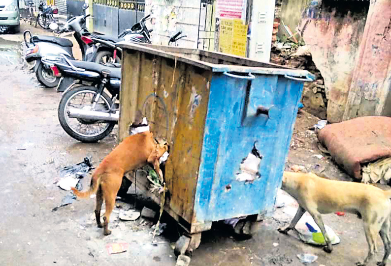 புளியந்தோப்பில் உடைந்த குப்பை தொட்டிகளால் துர்நாற்றம்; நோய் பரவும் அபாயம்