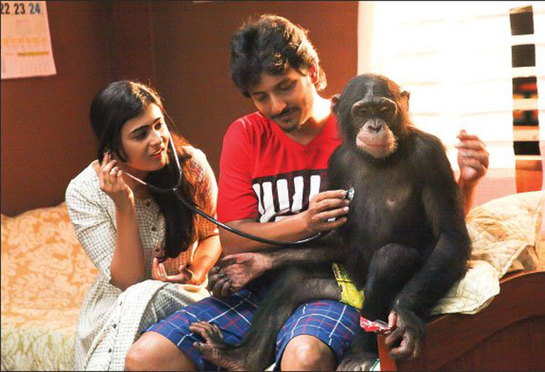 கொரில்லா