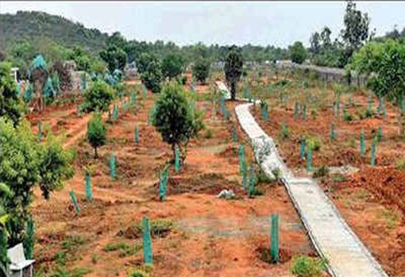 100-வது ஆண்டு விழாவையொட்டி சென்னை அருகே வன மரபியல் மரப்பூங்கா நாளை திறக்கப்படுகிறது