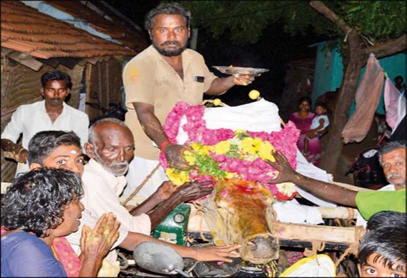 அலங்காநல்லூர் அருகே ஜல்லிக்கட்டு கோவில் காளை இறப்பு, கிராம மக்கள் இறுதிஅஞ்சலி