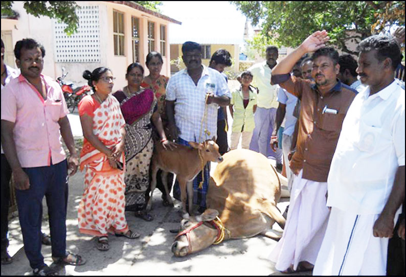 பசு மாடு இறந்ததால் கால்நடை மருத்துவமனை முன் திடீர் போராட்டம்