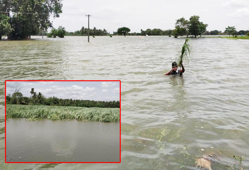 லால்குடி அருகே கொள்ளிடம் ஆற்றின் வெள்ளம் வயல்களில் புகுந்தது