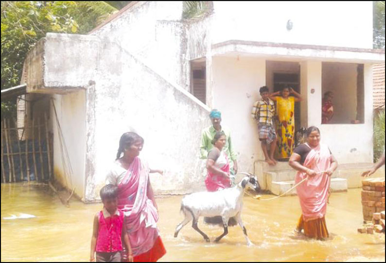 திருமானூர், விக்கிரமங்கலம் அருகே கிராமங்களை வெள்ள நீர் சூழ்ந்தது