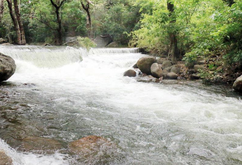 மேற்கு தொடர்ச்சி மலைப்பகுதியில் மழை: களக்காடு தலையணையில் வெள்ளப்பெருக்கு