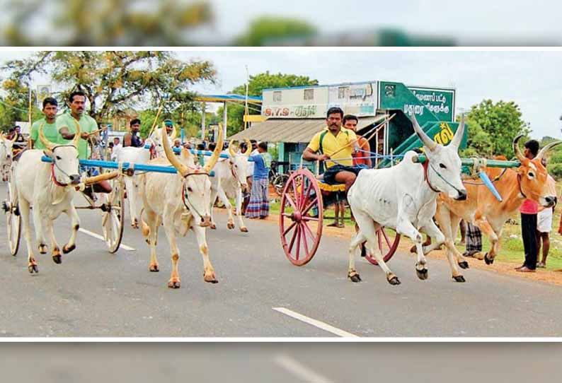 மாட்டுவண்டி பந்தயம் அனுமதியின்றி நடத்தியதாக 4 பேர் மீது வழக்கு