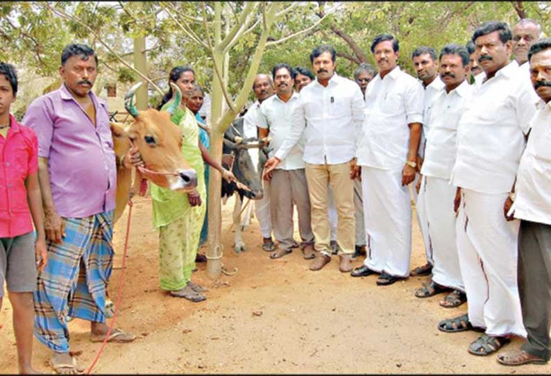 வேடசந்தூர் அருகே 39 பயனாளிகளுக்கு கறவைமாடுகள் - பரமசிவம் எம்.எல்.ஏ. வழங்கினார்