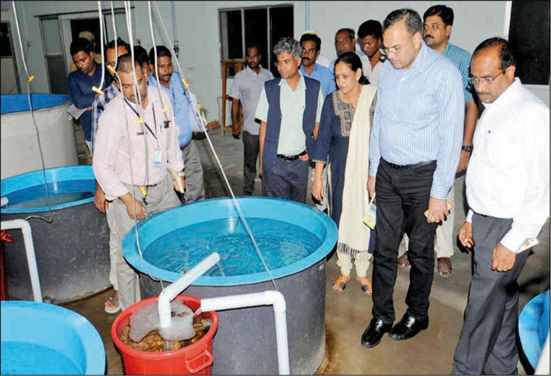 கடல்மீன் குஞ்சு பொரிப்பக செயல்பாடு மத்திய அரசு செயலர் நேரில் ஆய்வு