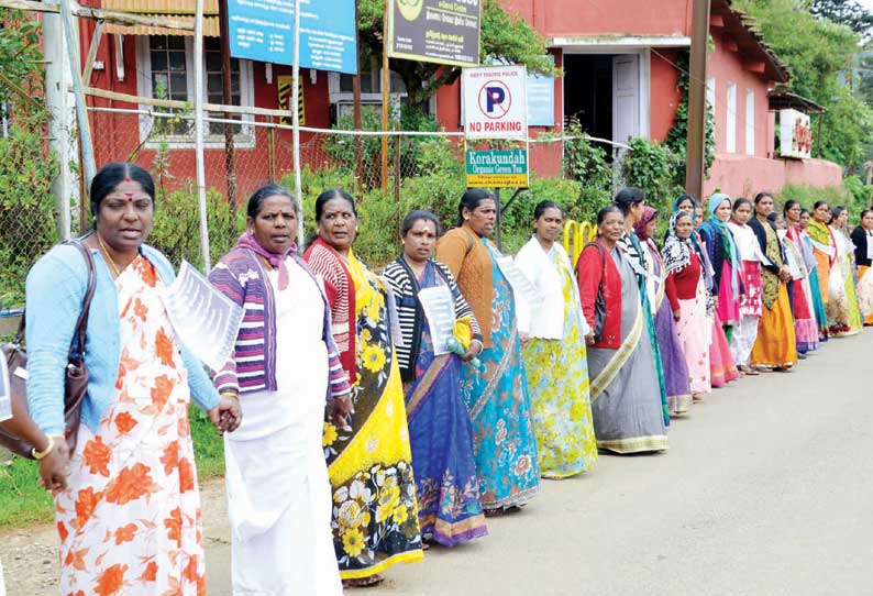 காலி பணியிடங்களை நிரப்பக்கோரி ஊட்டியில் அரசு ஊழியர்கள் மனித சங்கிலி போராட்டம்