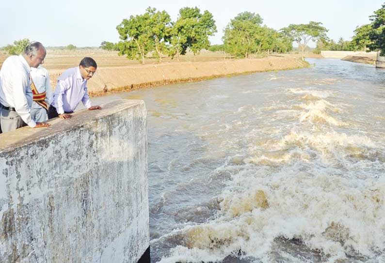 கோட்டூர் பகுதிகளில் உள்ள ஆறு, வாய்க்கால்களில் நீர் வரத்தை கலெக்டர் ஆய்வு