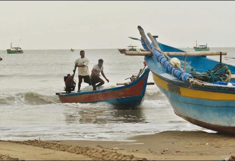 மீனவர்கள் வலையில் அதிக அளவில் சிக்கும் சீலா மீன்கள் - நல்லவிலை கிடைப்பதால் மகிழ்ச்சி