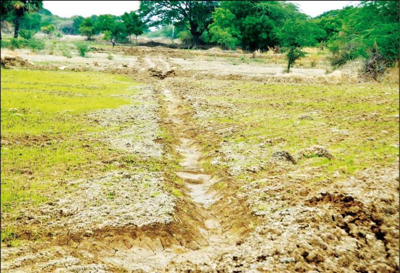 விளைநிலங்களில் பள்ளம் ஏற்பட்டதால் சம்பா சாகுபடி பணிகள் பாதிப்பு - இழப்பீடு வழங்க விவசாயிகள் கோரிக்கை