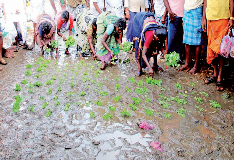 நாற்று நட்டு பூ வியாபாரிகள் போராட்டம்: தண்ணீரில் மீன் பிடித்தனர்