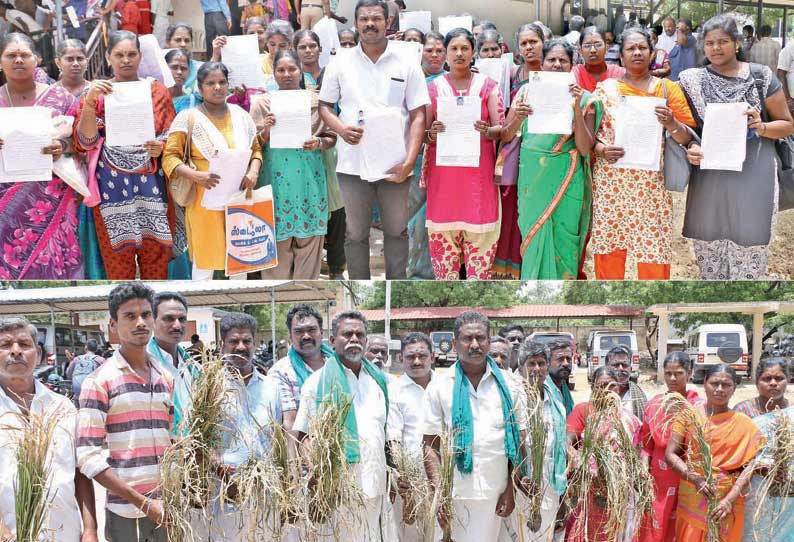 கொள்ளிடம் ஆற்றில் வெள்ளம் காரணமாக 1,500 ஏக்கர் நெற்பயிர்கள் அழுகியதால் நிவாரணம் வழங்க கோரி மனு