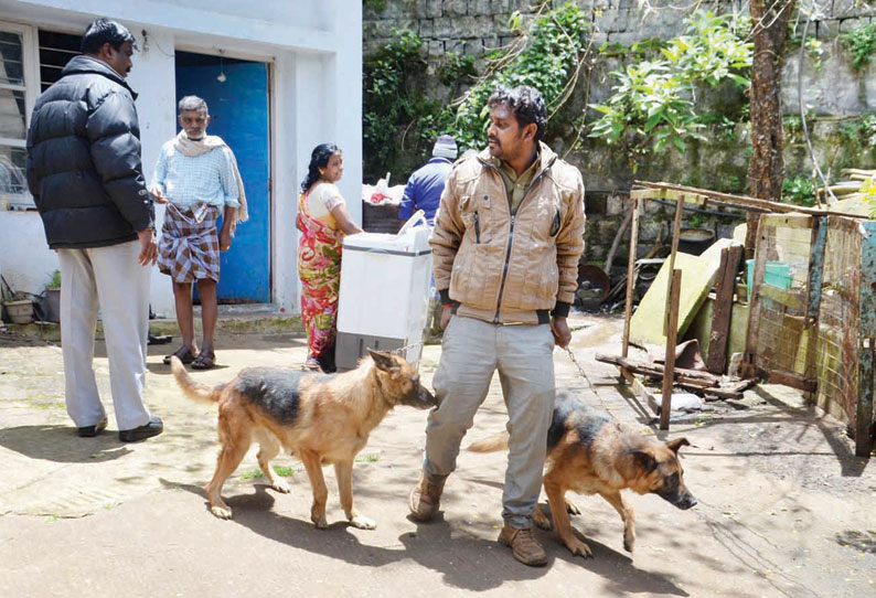 அதிகாரிகள் திடீர் ஆய்வு: நகராட்சி விருந்தினர் மாளிகையில் நாய் வளர்த்து விற்ற காவலாளி