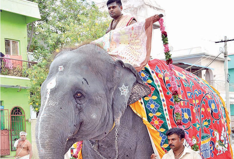 திருச்செந்தூர் சுப்பிரமணிய சுவாமி கோவிலில் இன்று ஆவணி திருவிழா கொடியேற்றம் யானை மீது கொடிப்பட்டம் வீதி உலா வந்தது