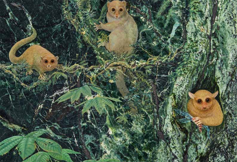 புதிய புராதன உயர் விலங்கினங்கள் மூன்றை விஞ்ஞானிகள் கண்டறிந்து உள்ளனர் புதிய புராதன உயர் விலங்கினங்கள் மூன்றை விஞ்ஞானிகள் கண்டறிந்து உள்ளனர்