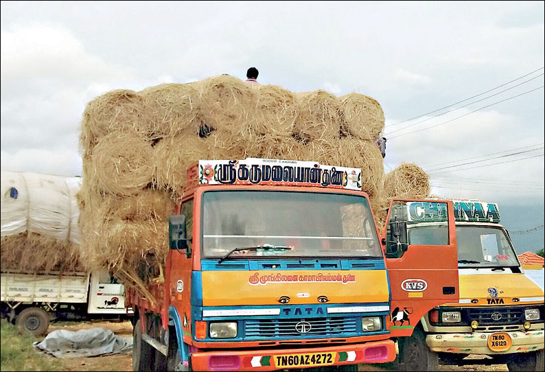 கம்பம் பகுதியில் கால்நடை தீவனங்களை கொள்முதல் செய்ய கேரள வியாபாரிகள் முகாம்