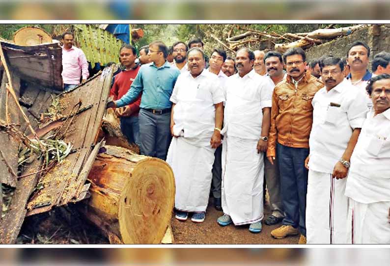 கொடைக்கானல் மலைப்பாதையில்: ஆபத்தான மரங்களை அகற்ற நடவடிக்கை - அமைச்சர் திண்டுக்கல் சீனிவாசன் உறுதி