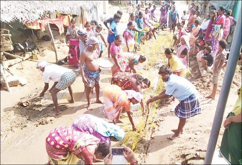 திருமானூரில் தார்ச்சாலை அமைக்க கோரி நாற்று நடும் போராட்டம்