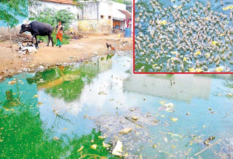 கிராமப்புறங்களில் டெங்கு, பன்றிக்காய்ச்சல் பரவாமல் தடுக்க நடவடிக்கை தேவை; மாவட்ட நிர்வாகத்திற்கு கோரிக்கை