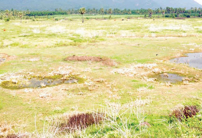 நாமக்கல் மாவட்டத்தில் வறண்டு கிடக்கும் ஏரிகள் நீர்வரத்து கால்வாய்களை தூர்வார கோரிக்கை