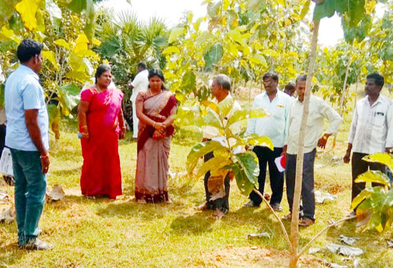 பெரணமல்லூர் ஒன்றியத்தில் பல்வேறு திட்டப்பணிகள் அதிகாரி ஆய்வு