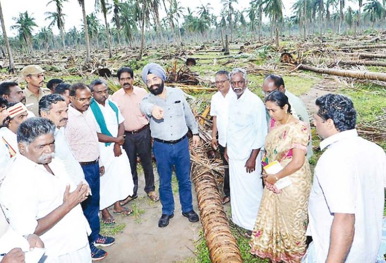 கஜா புயலால் பாதிக்கப்பட்ட இடங்களில் நவீன எந்திரங்கள் மூலம் அதிக வேகத்தில் மின்கம்பங்கள் நடும்பணி